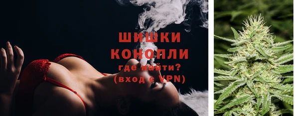 соль ск Арсеньев