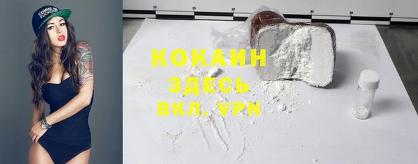 прущий лед Дмитриев