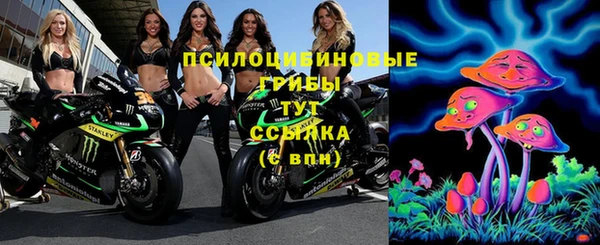 ГАЛЛЮЦИНОГЕННЫЕ ГРИБЫ Мегион