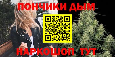 PSILOCYBIN Камышлов