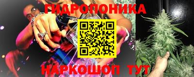 PSILOCYBIN Камышлов