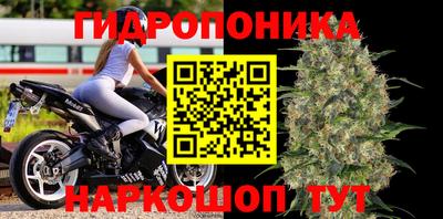 PSILOCYBIN Камышлов