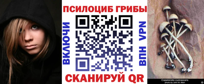 Галлюциногенные грибы Psilocybine cubensis  Советская Гавань 