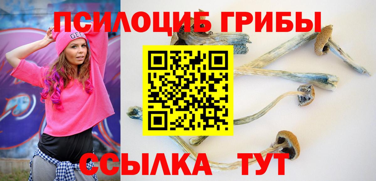 Советская Гавань  наркошоп  Галлюциногенные грибы мицелий  Вход с VPN  Галлюциногенные грибы мухоморы 